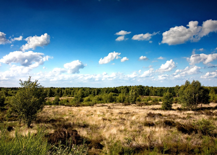密室诛仙攻略，密室诛仙第一关怎么过