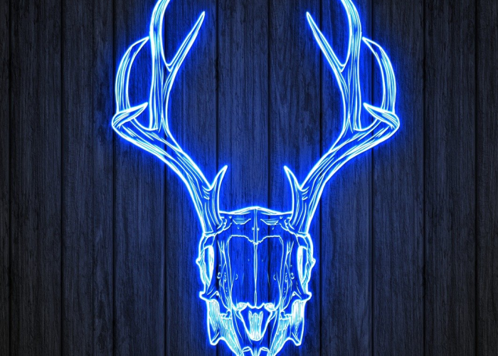 必看教程:遇到网站提款成功到账不了怎么办，出黑大师可以帮助你