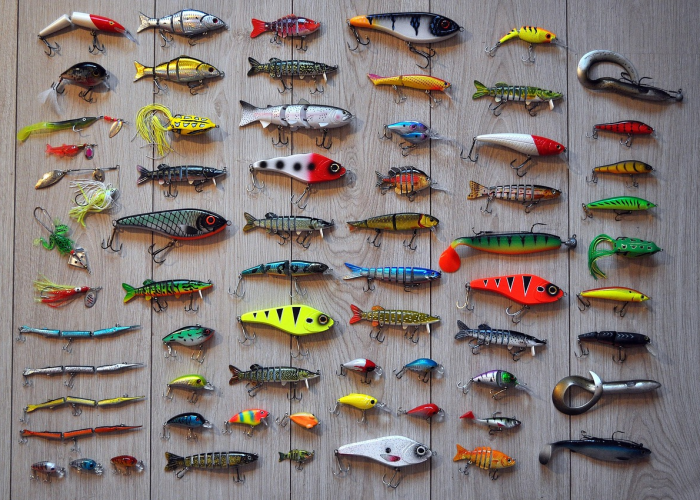 (皇后成长计划女皇攻略)，皇后成长计划2完整攻略女皇