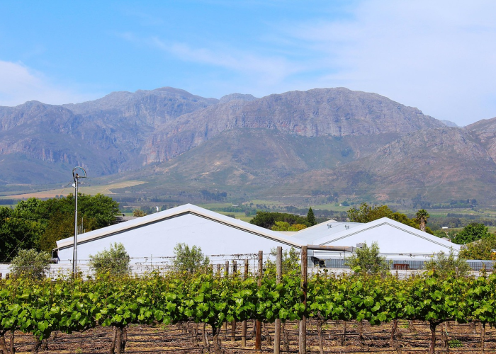 分享一下:在黑网站被黑不能提款该怎么办?不懂看这里