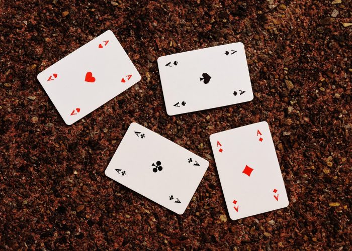 【梦幻庭院种植攻略,梦幻庭院种植技巧】