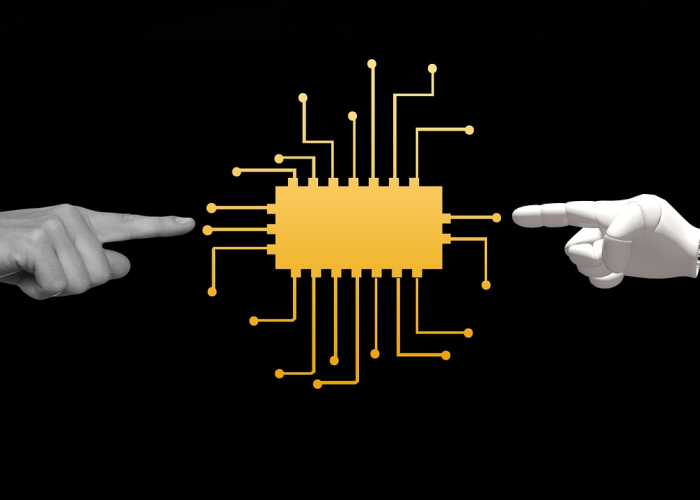 女尊攻略游戏，女尊攻略游戏百度云