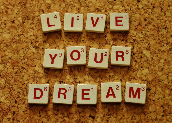 三国志霸王的梦想任务攻略/三国志霸王的梦想攻略