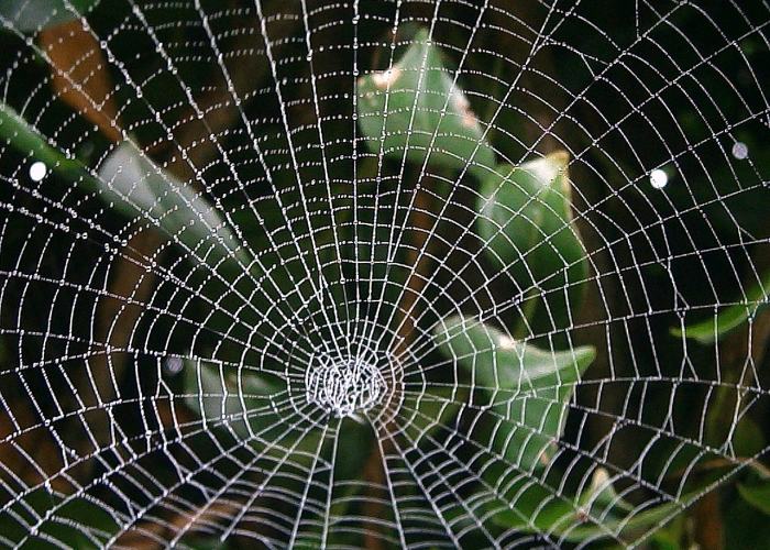 (方舟生存进化孤岛攻略)，方舟生存孤岛在哪里