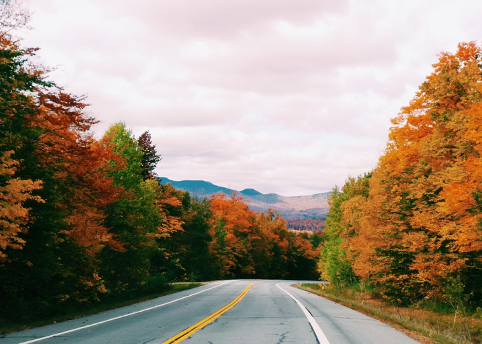 (纪元1800攻略)，纪元1800攻略3dm