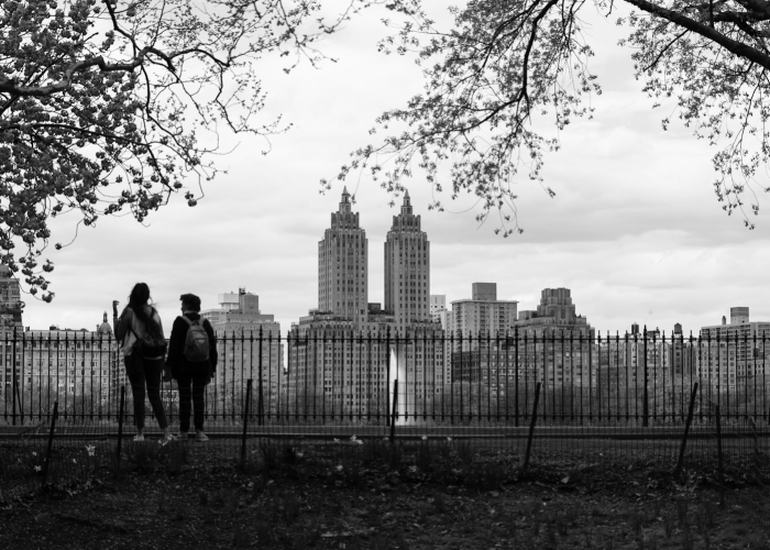 分享一下:揭秘网站系统升级提不了款怎么办？是不是被骗了