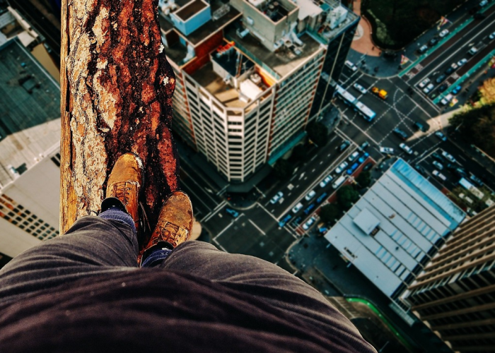 秒懂经验:网上赢钱系统维护审核提款成功一直不到账怎么办？一招就可以追回