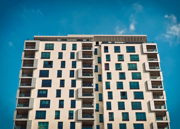 扁鹊出装顺序最强2020/扁鹊最强出装要带哪些装备