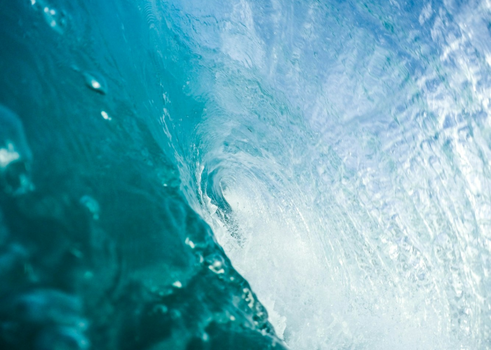 幻想三国志5攻略，幻想三国志5攻略 狒狒