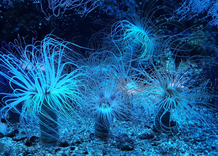 逃脱三攻略，逃脱密室3逃出办公室攻略