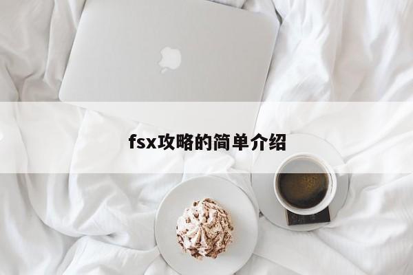 fsx攻略的简单介绍