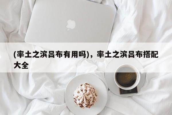 (率土之滨吕布有用吗),率土之滨吕布搭配大全
